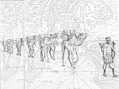 Did you know Yemen is considered the birthplace of coffee?